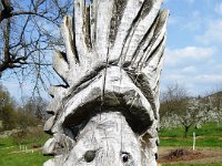 11 Cerisiers en fleurs dans l&#39;Ortenau Mösbach 10 04 2016 95